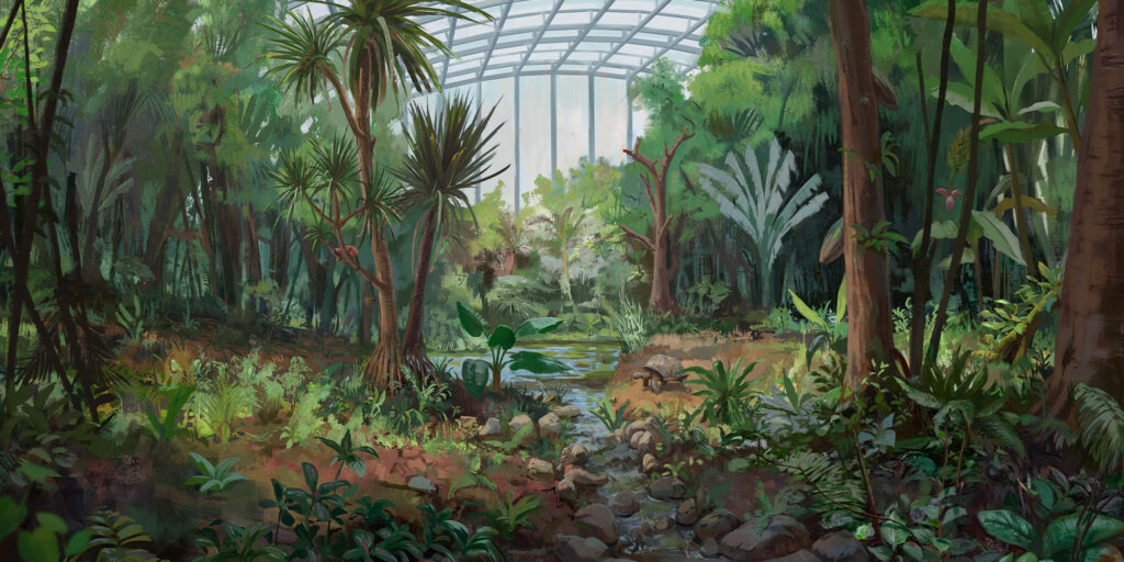 Illustration Luzern Zeichnung Interaktiv Web Zoo Zürich Masoala