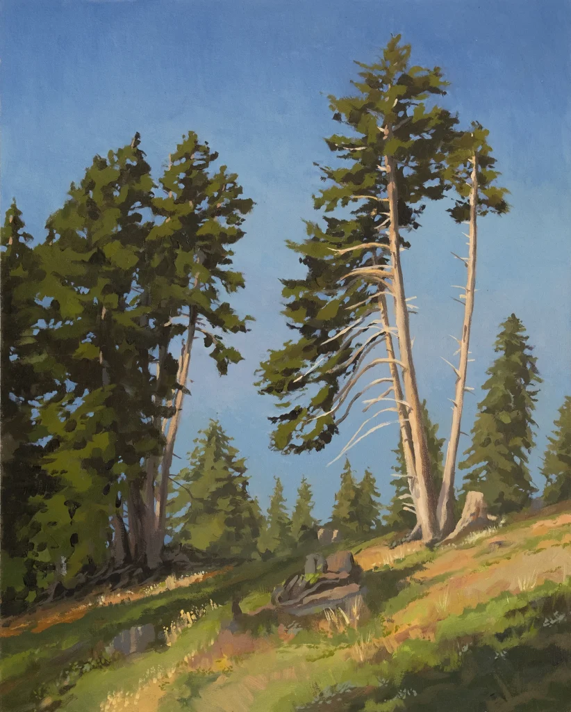 Lanschaftmalerei Luzern Plein Air Illustrator Künstler Lukas Hefti Maler